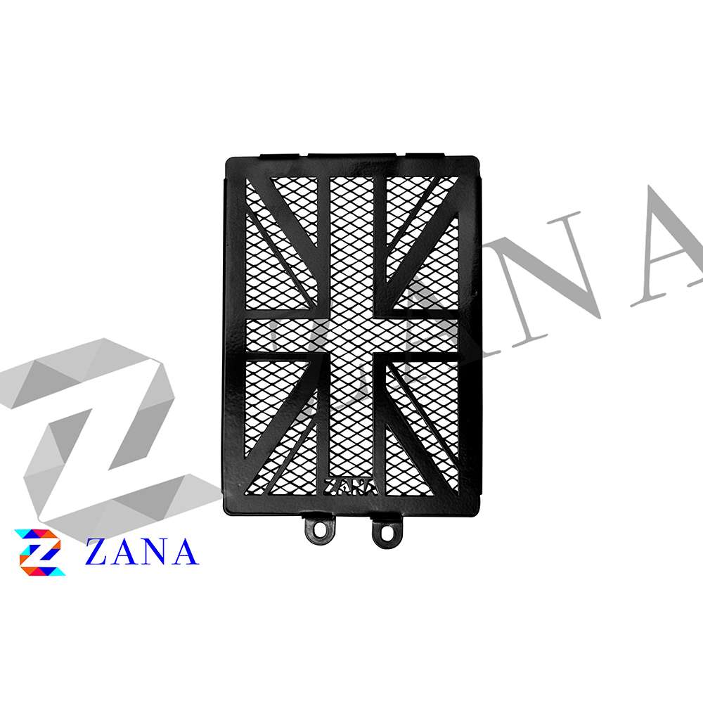 Black Radiator Guard for GT-Interceptor 650