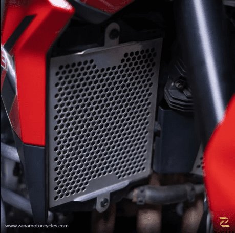 Zana Radiator Guard Honeycomb Silver (2 MM Alu) Set For Triumph Tiger 850 ZP-087