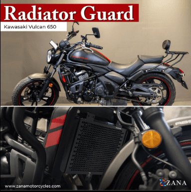 Radiator Guard